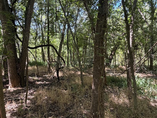 Lot 677 Kaukonahua LN