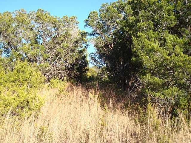 lot 687 Cottonwood Creek DR