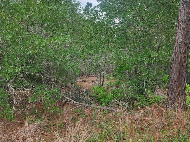 lot 70 Lakeside DR