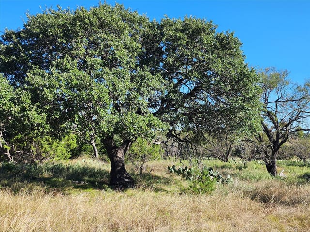 Lot 73 Shin Oak Dr