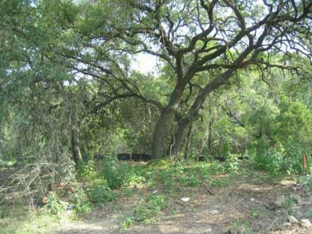 Lot 78 Pappys WAY