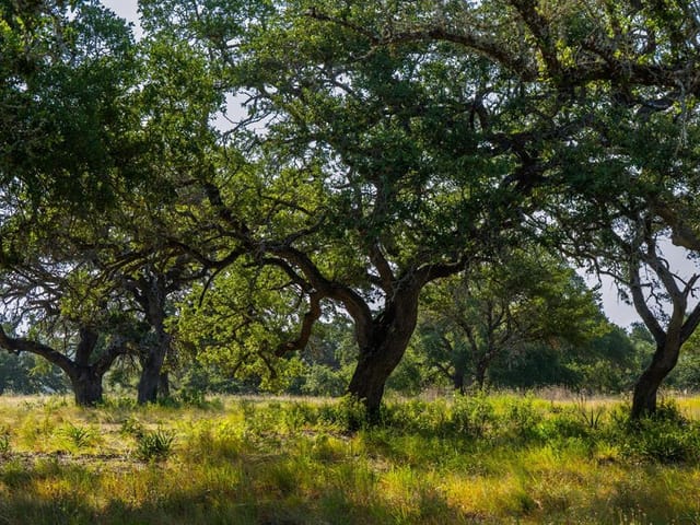 Lot 8 Tuscany Dr