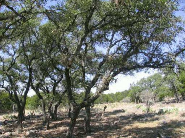 Lot 88 River View DR