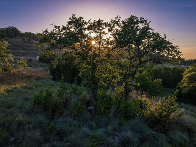 LOT 95 Big Sky