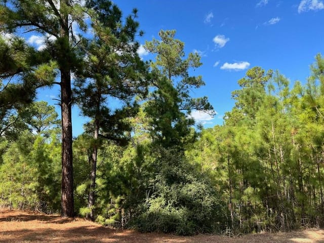 Lot 986 Kailua L Ln