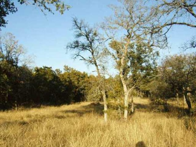 Lot 21 Shady Oaks