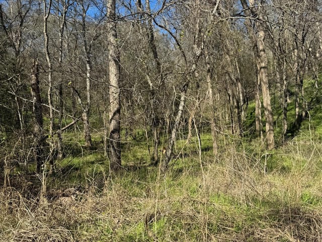 Lots 638. 639. 640 Kaukonahua Ln