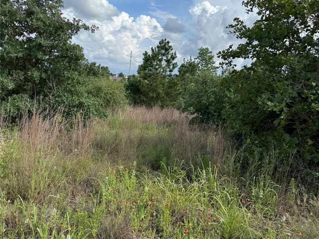 Lots 88, 89, 90 Pintail LN