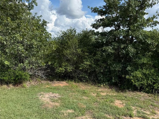 Lots 89-90 Pintail LN