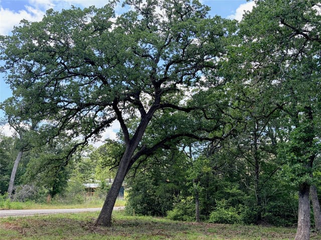 Lots-90/91 Arapaho DR