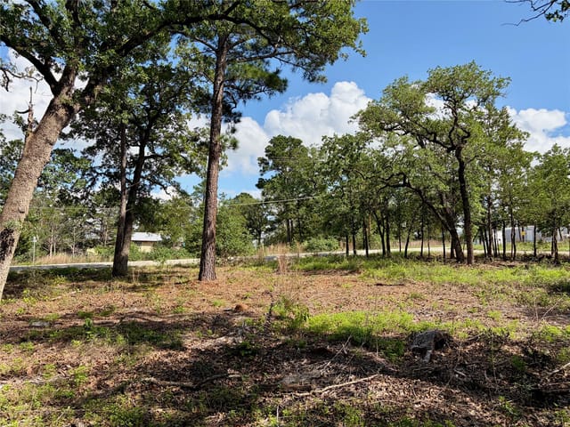 Lots-95/96 Shawnee Dr