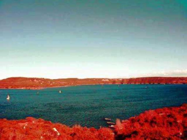 MC CORMICK MOUNTAIN DR