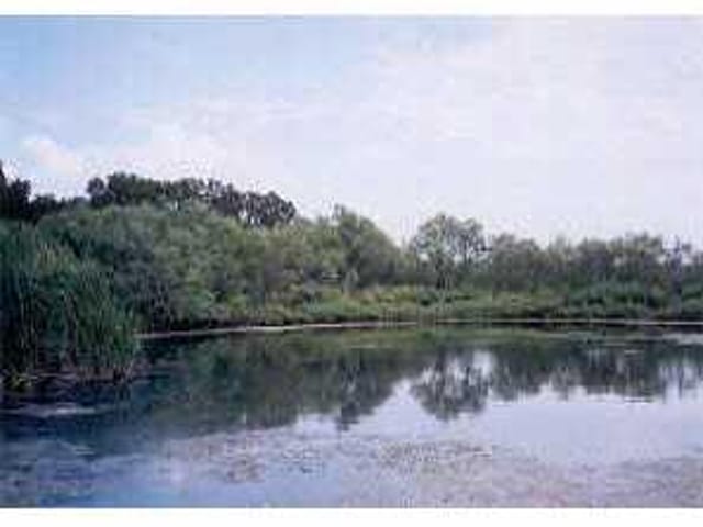 MEURER LN