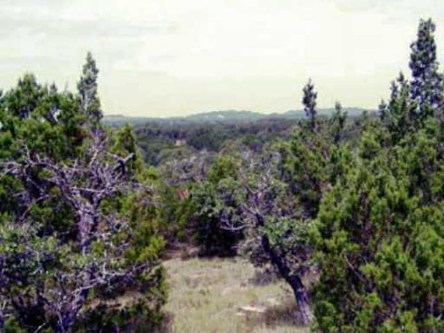RAINBOW RANCH ROAD