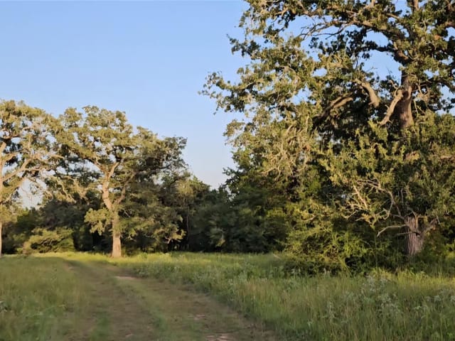 Ranch Land Easley RD