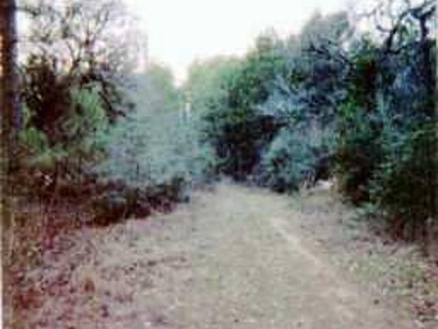 RAVEN RD