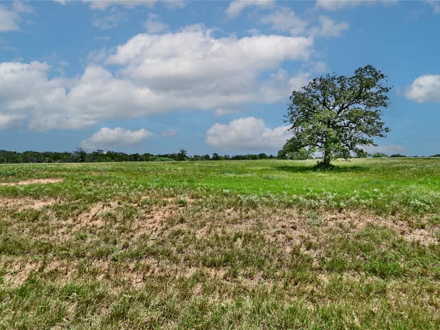 TBD 1-13 (2.0 Acres) New Moon Ct
