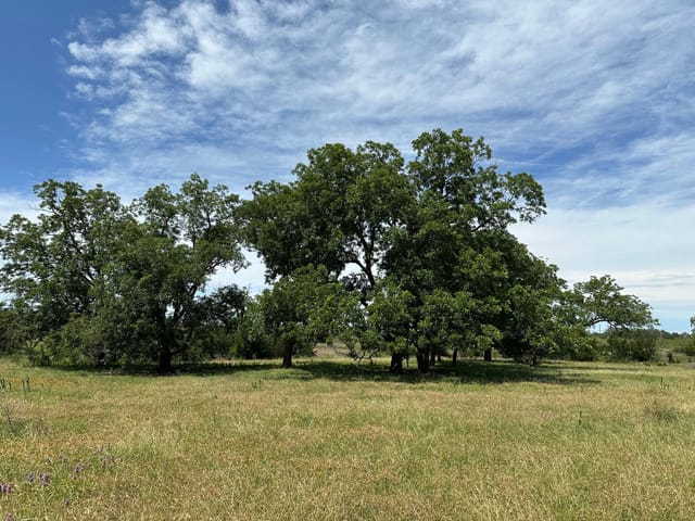 tbd 94ac County Road 330