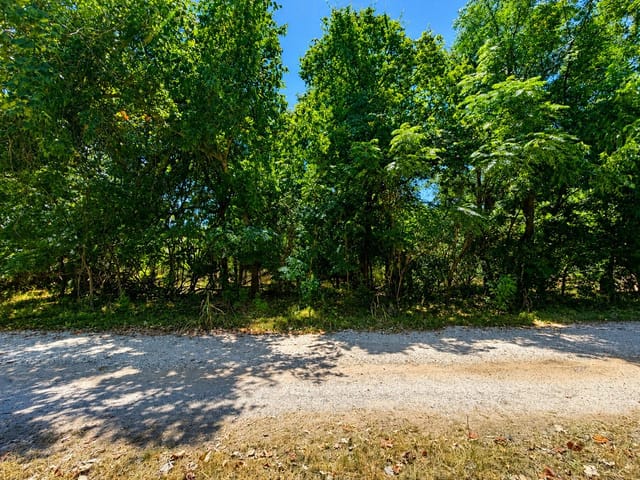TBD Buckner LN