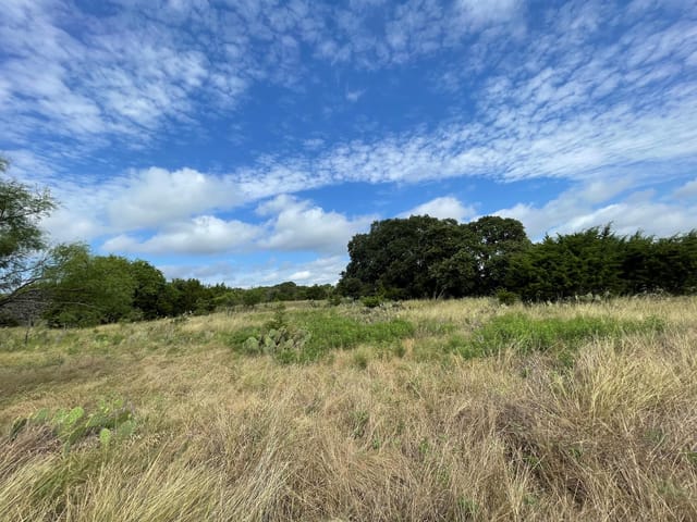 TBD County Road 206