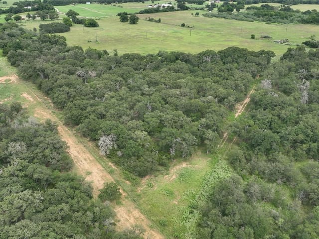 TBD County Road 307