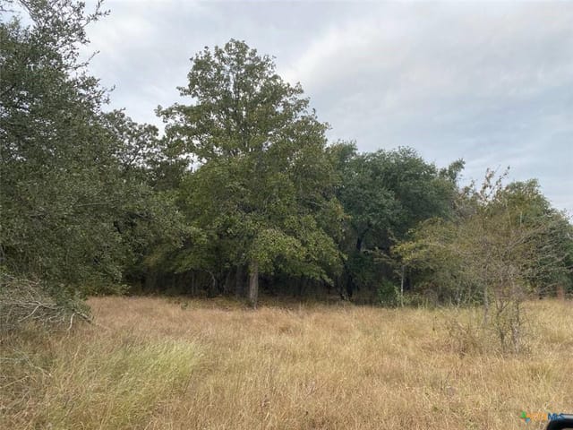 TBD County Road 405