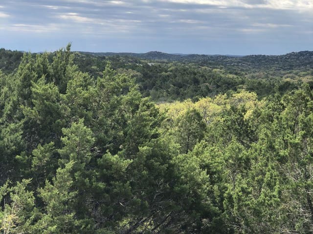 TBD County Road 635