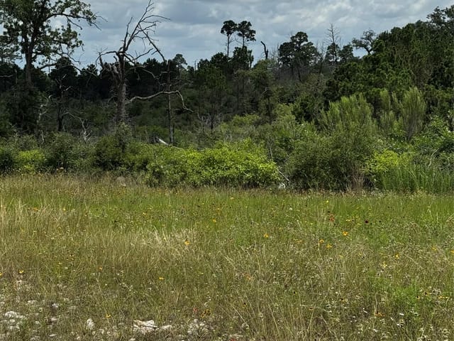 TBD Hwy 21 East