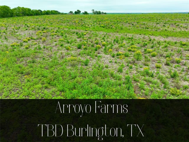 TBD Lot 2, Blk 2 132 RD