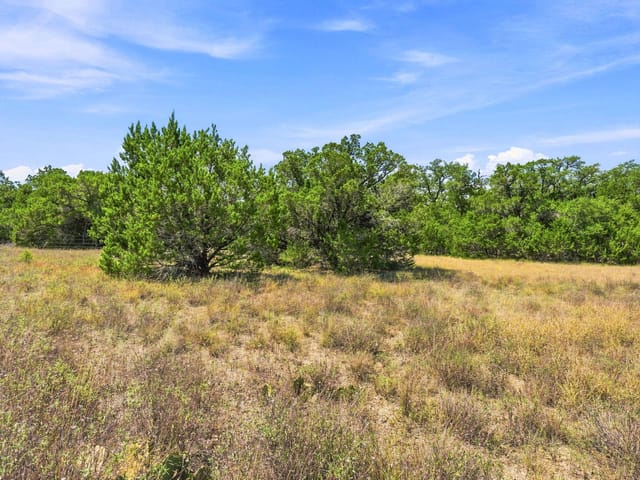 TBD Lot 2 Lipan RUN