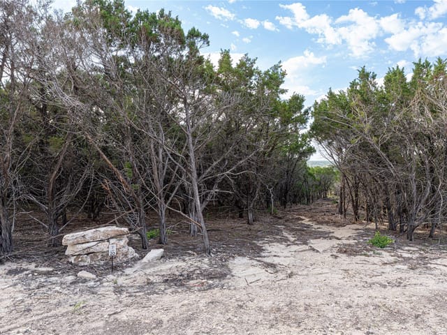 TBD Lot 20 Hank Williams WAY