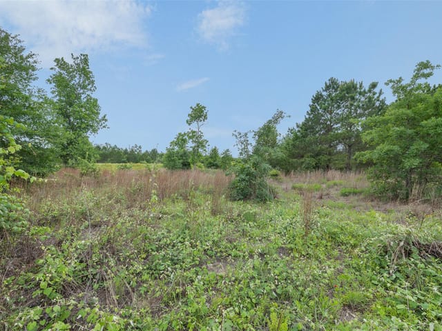 TBD Lot 20c County RD