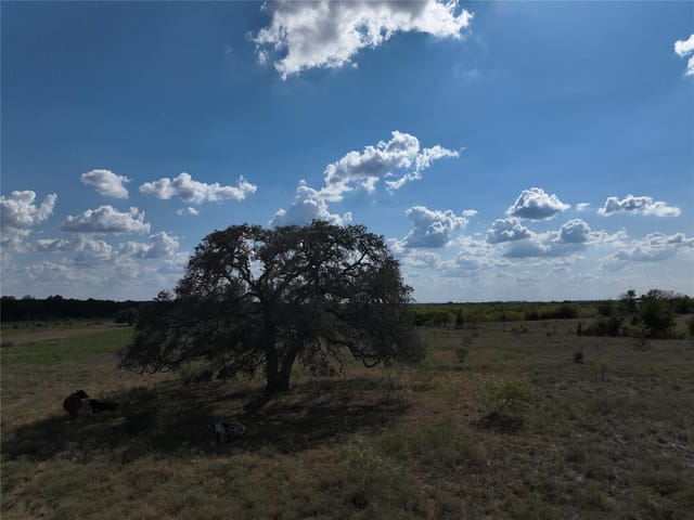 TBD Lot 5 Tenney Creek Rd Rd