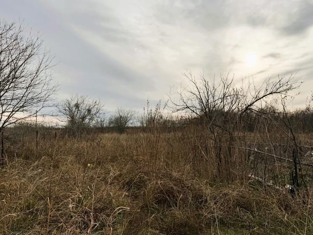 TBD (lot 6) Arnold DR