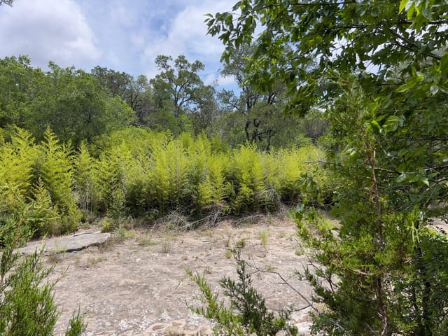 TBD Lot PT 19 Narrows RD