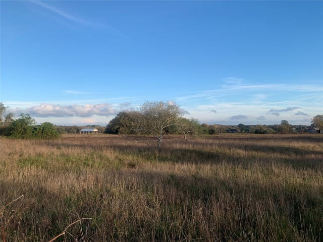 TBD Main ST
