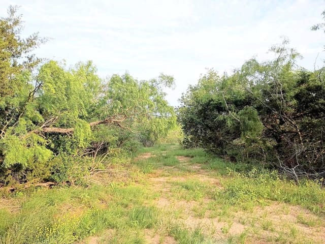 TBD Mesquite DR
