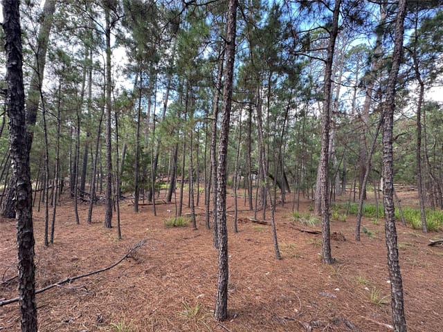TBD Otto Lane & Red Fox RD
