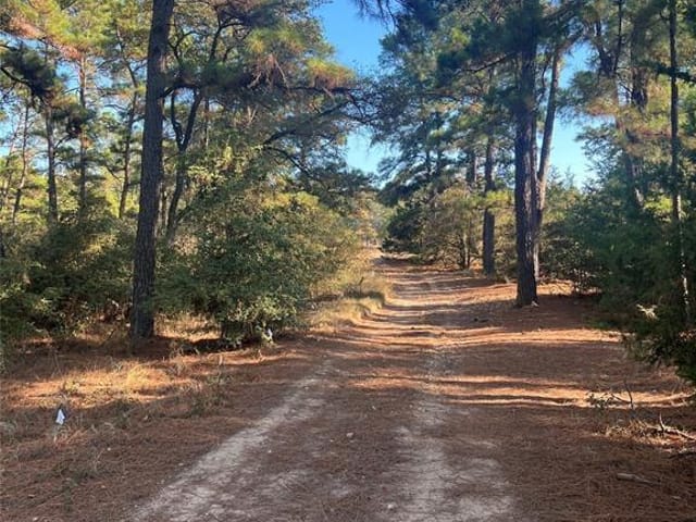 TBD Pine Lodge DR