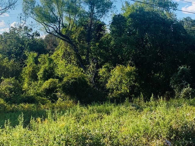TBD A11 BASTROP TOWN TRACT, ACRES 2.010 Unit #Bastrop Property ID 46383