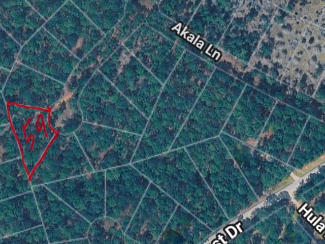TBD Akala LN