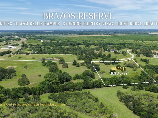 TBD Brazos Court (6.96 Acres)