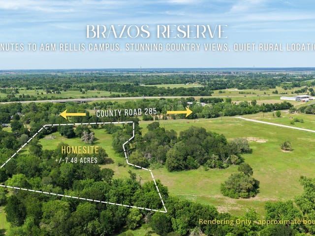 TBD Brazos Court (7.48 Acres)