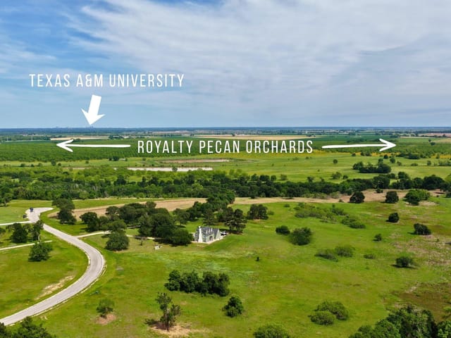 TBD Brazos Court (7.48 Acres)