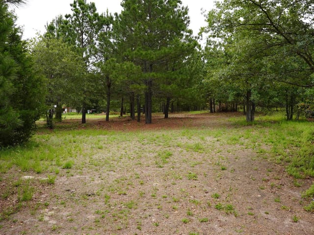 TBD Buckhorn DR