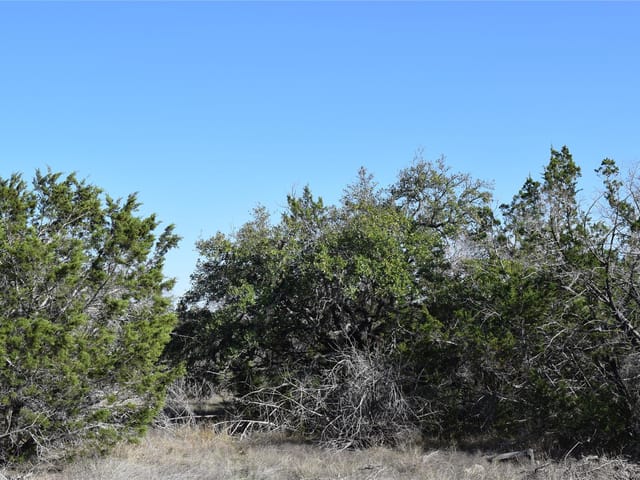 TBD Cheyenne Trl