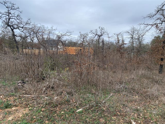 TBD Chickasaw