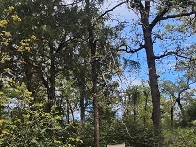 TBD Co Rd 308 Rd