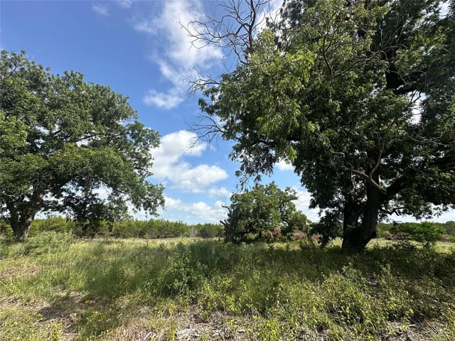 TBD County Road 1255