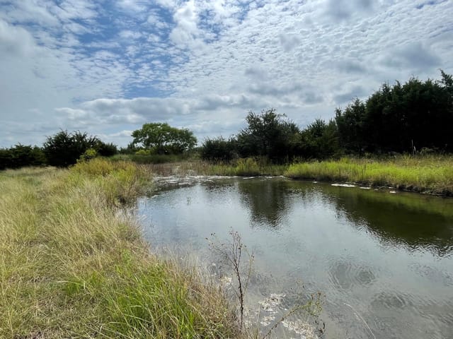 TBD County Road 206